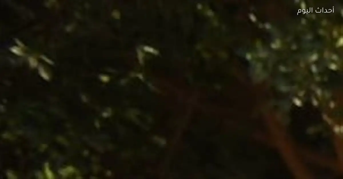 محافظ قنا يتفقد الخدمات الصحية في قرية دندرة