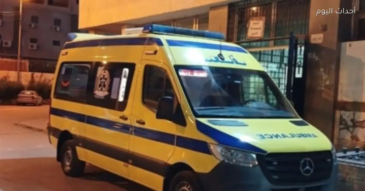 مصرع سيدة مسنّة بعد صدمها بقطار في كوم حمادة