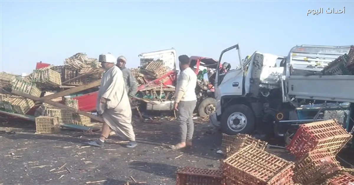 مصرع شخصين وإصابة 14 في تصادم بالطريق الصحراوي الغربي بإسنا