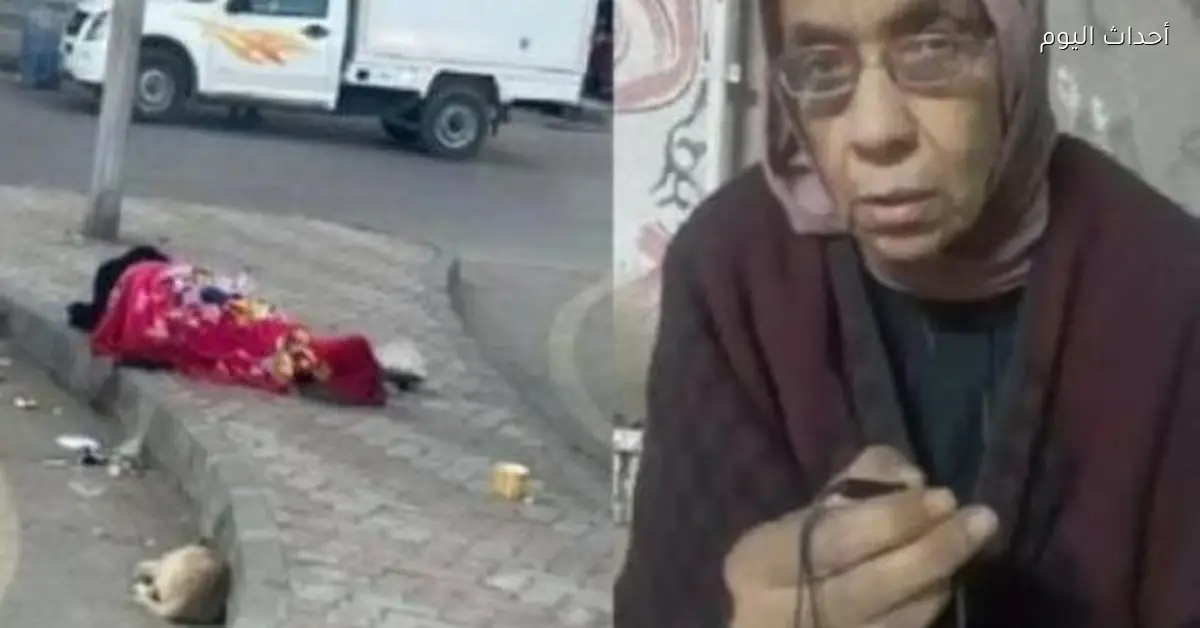 من الشارع للتكريم.. الرئيس السيسي يحتفل بالمهندسة ليلى إبراهيم بعد معاناة طويلة