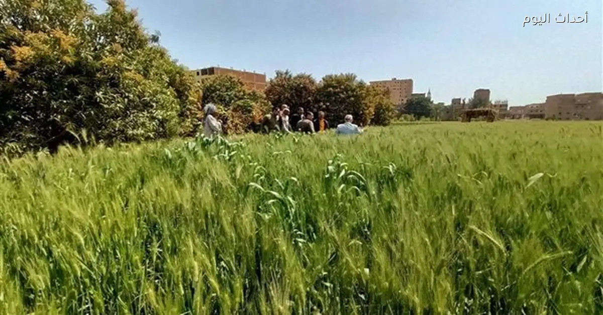 وزارة الزراعة تزيل 21 تعديًا وتساند المزارعين بالإجازة