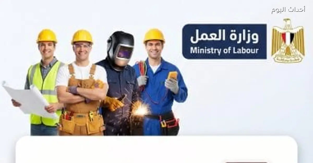 وزارة العمل تعلن عن 105 وظيفة أمن إداري في 7 مدن برواتب تصل إلى 9 آلاف جنيه