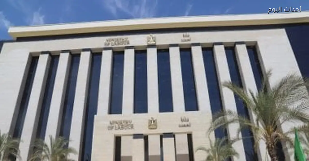 وظائف مترجمين للغة الصينية برواتب تصل لـ40 ألف جنيه من وزارة العمل