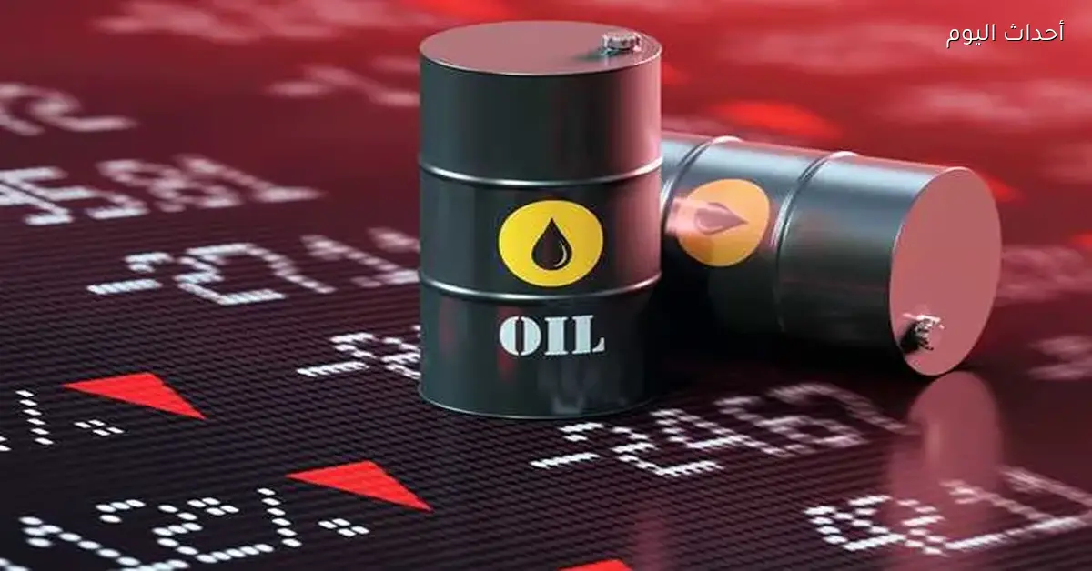 وكالة الطاقة الدولية تبحث خيارات ومخزونات النفط للطوارئ