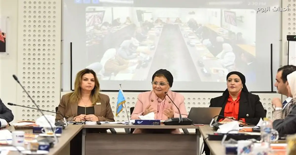 الألفي تساهم في مائدة مستديرة لزيادة إتاحة وسائل تنظيم الأسرة