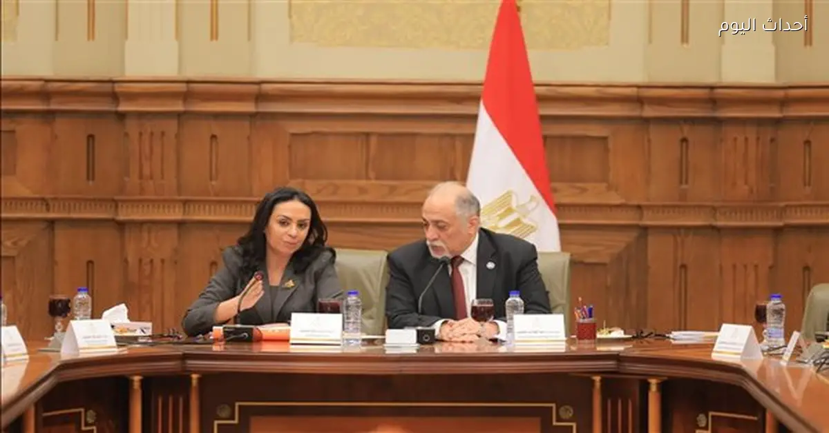 مصر تستعد لمواجهة الأزمات الإنسانية بمناقشات بين وزيرة التضامن والهلال الأحمر