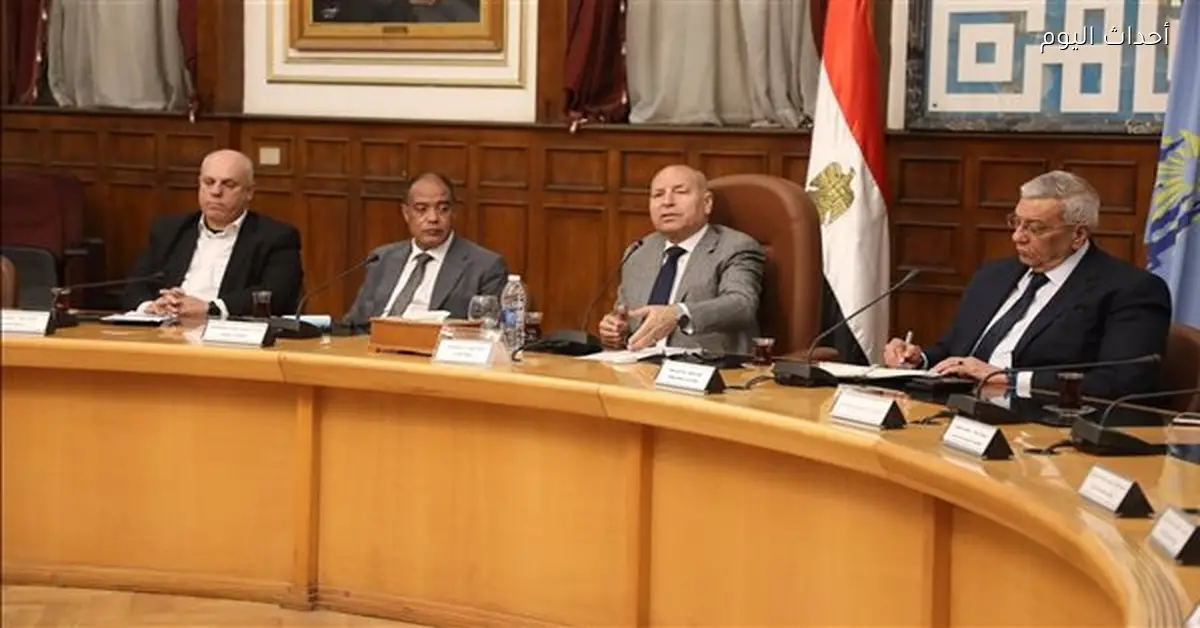 محافظ القاهرة يناقش خطة تطوير منطقة حلوان مع أساتذة الجامعة