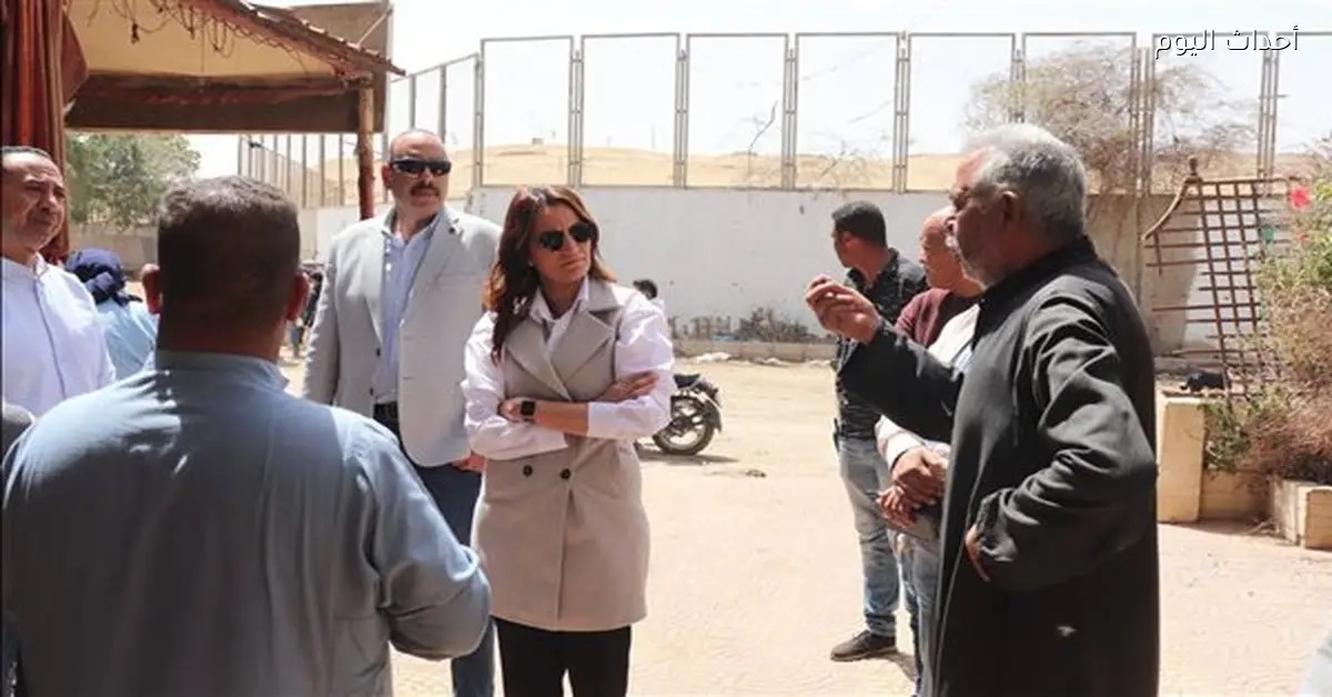 حملات توعية لتحسين نظافة الأسطبلات في الجيزة