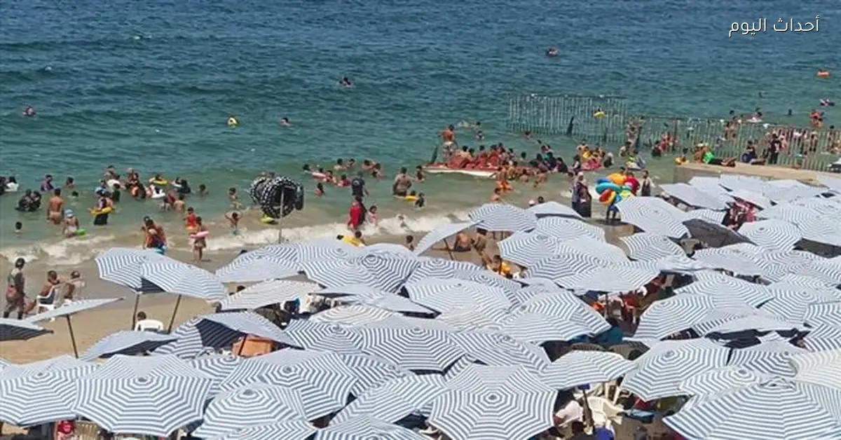 أسعار تذاكر شواطئ الإسكندرية 2026 تبدأ من 5 جنيهات
