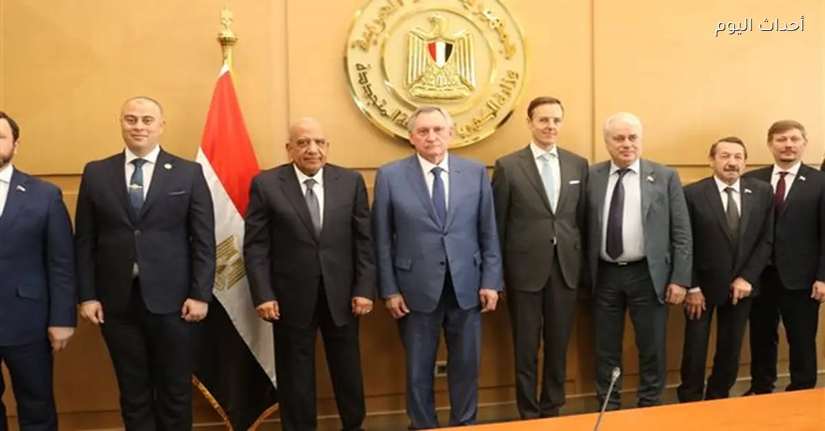 وزير الكهرباء يناقش مشروع الضبعة مع وفد روسي