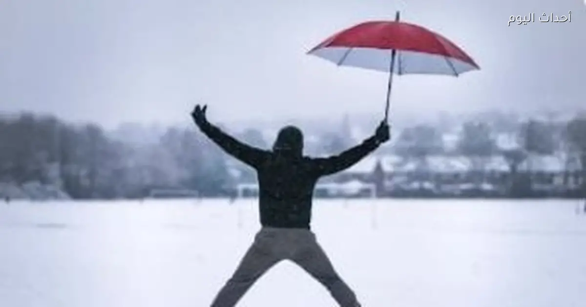 أبراج هتتميز في شغلها مع البرد.. الجدي في الصدارة