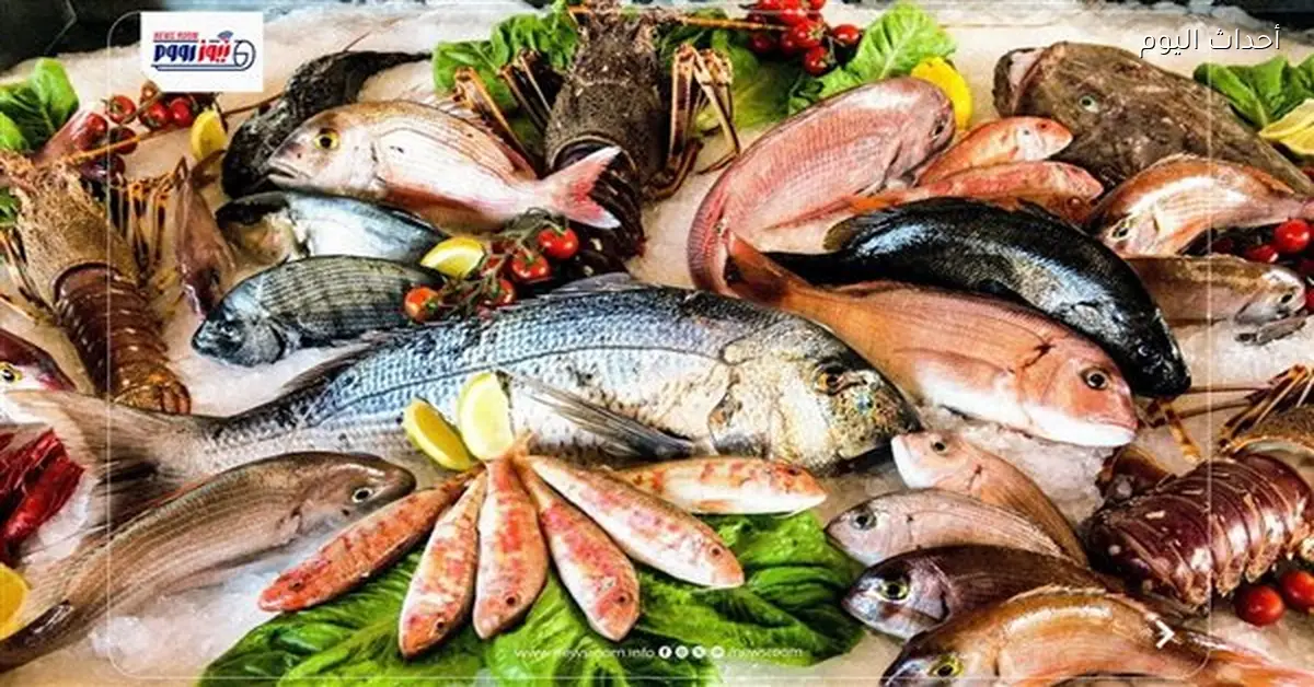 أسعار الأسماك اليوم تراجع البلطي وارتفاع الجمبري