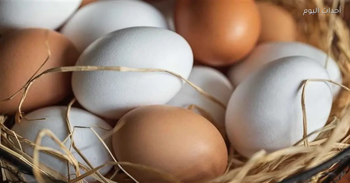 أسعار البيض في مصر اليوم مفاجآت في الأبيض والأحمر والبلدي