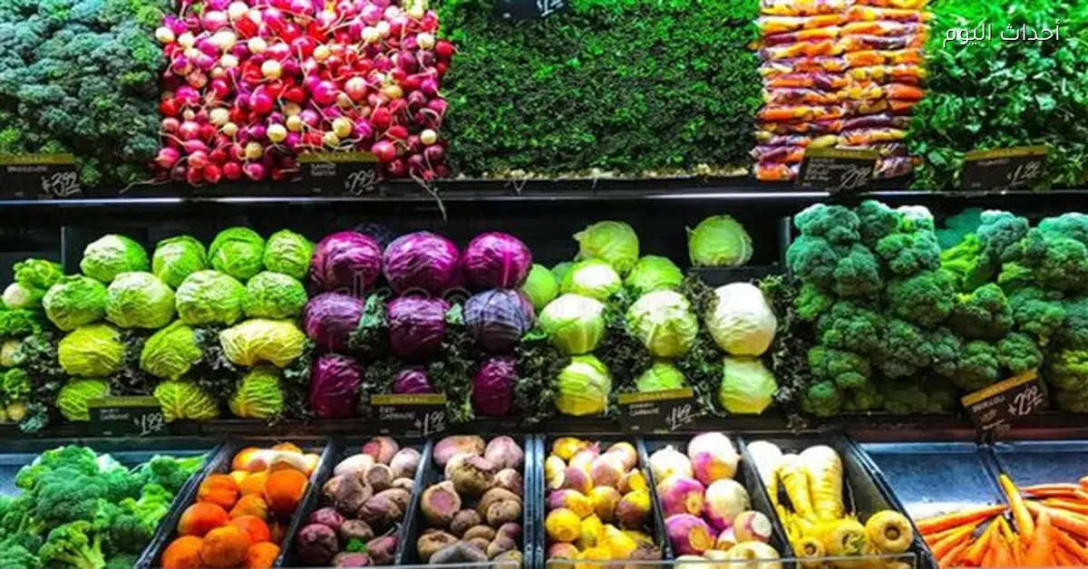 أسعار الخضروات اليوم: ارتفاعات وانخفاضات جديدة