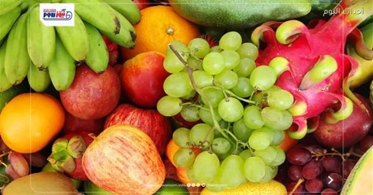 أسعار الفاكهة اليوم الأربعاء الكنتالوب بـ 30 جنيهًا للكيلو