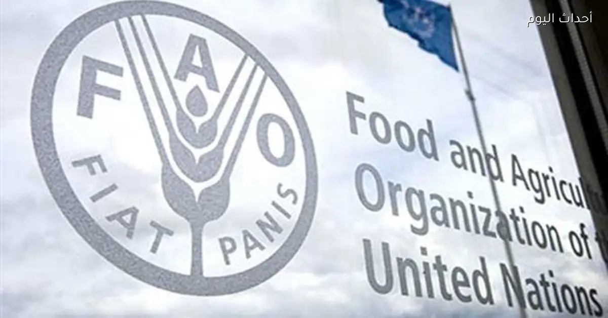 ارتفاع مؤشر الغذاء العالمي إلى 128.5 نقطة في مارس