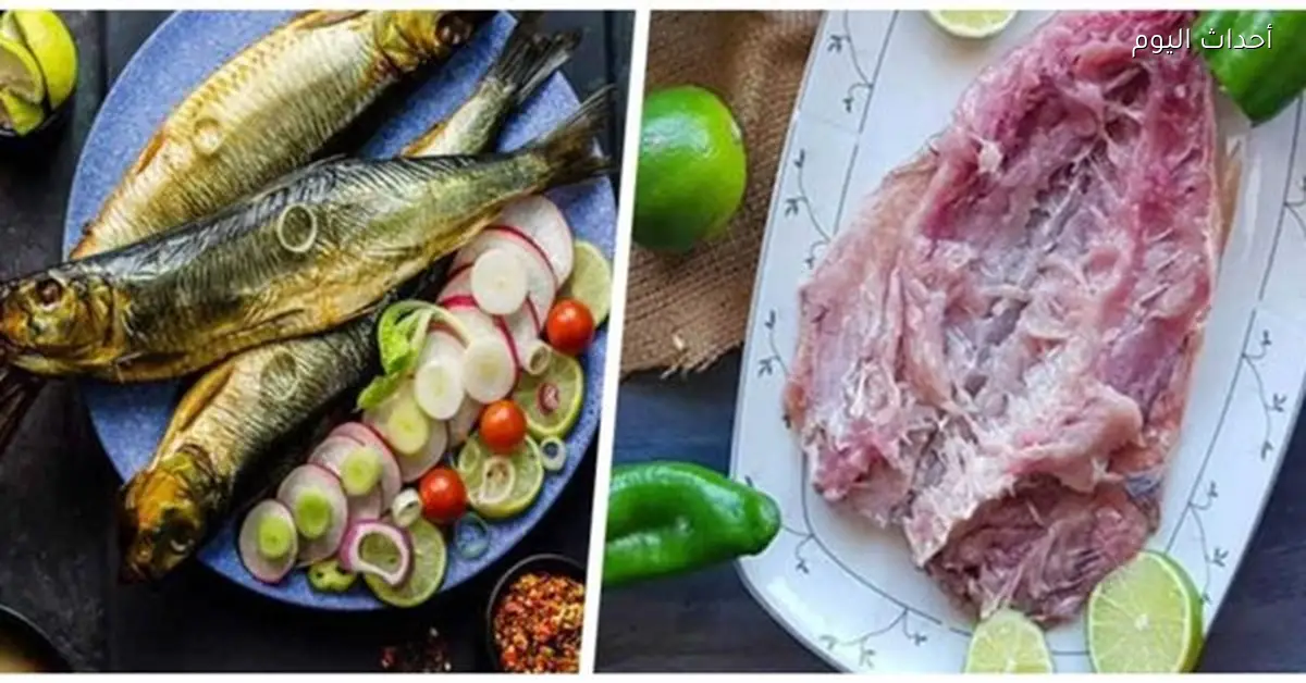 استقرار أسعار الفسيخ قبل شم النسيم بدون زيادات مفاجئة