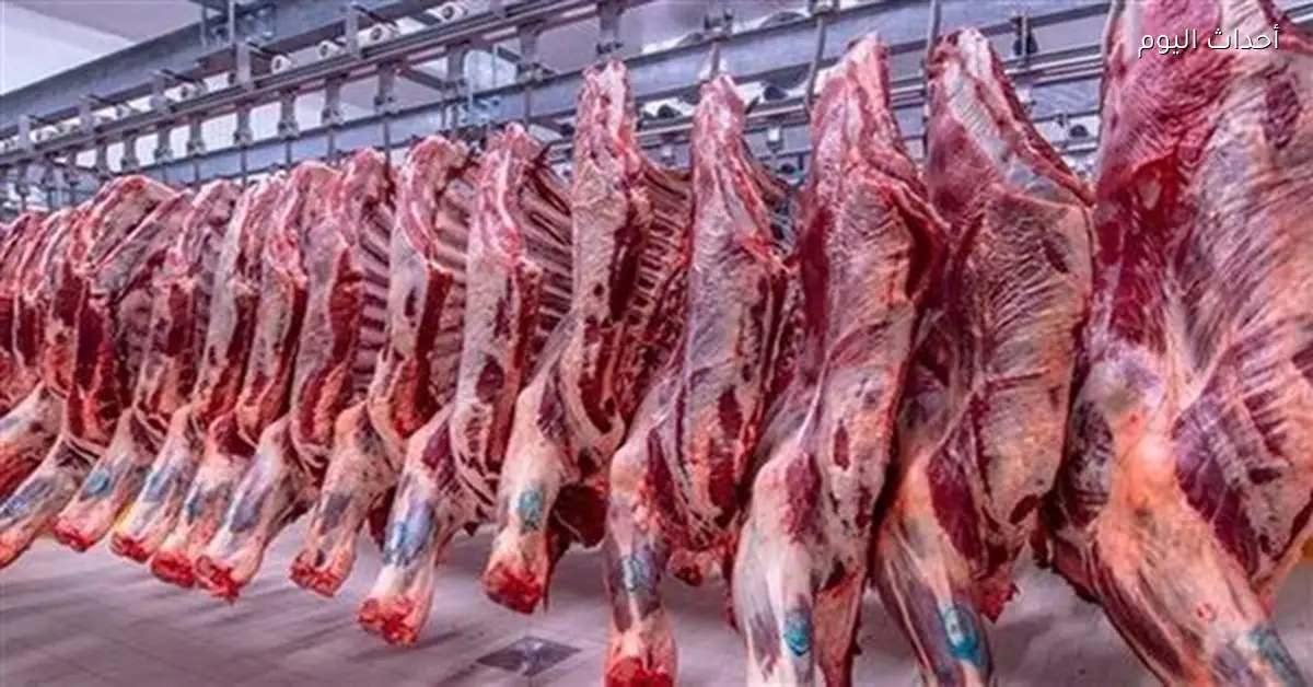 استقرار أسعار اللحوم في الأسواق المصرية اليوم 6 أبريل 2026