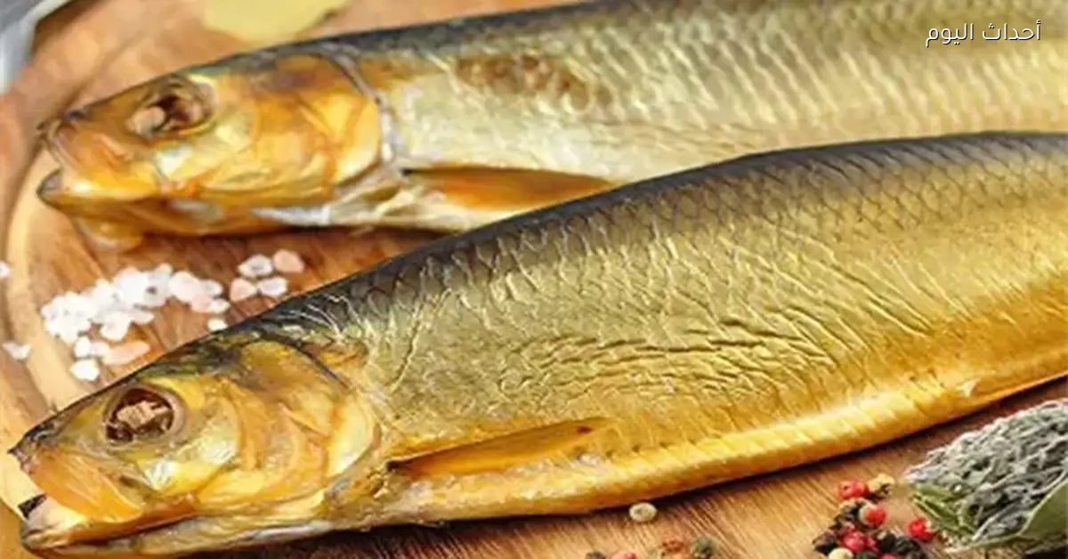 التموين تطرح الرنجة بسعر 145 جنيها للكيلو قبل شم النسيم