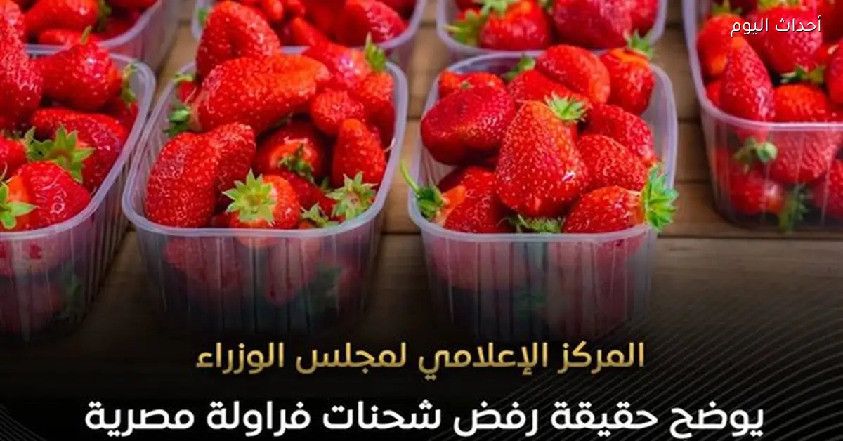 الحكومة تنفي شائعات رفض شحنات الفراولة المصرية