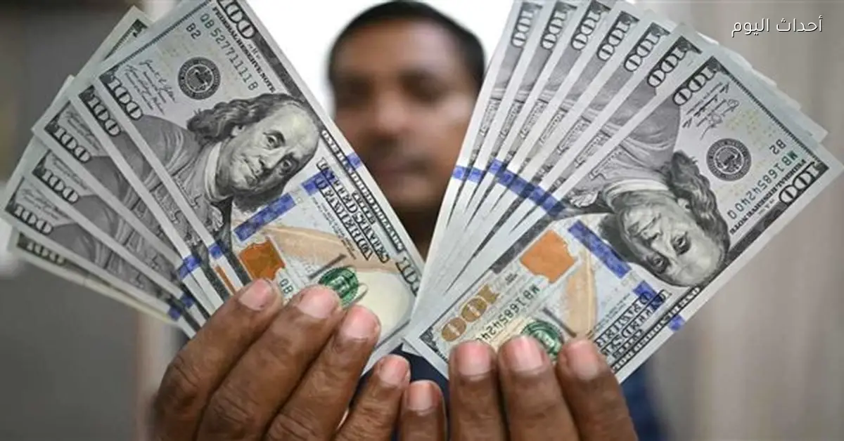 الدولار يقترب من 55 جنيها والمركزي يطبق المرونة المحسوبة
