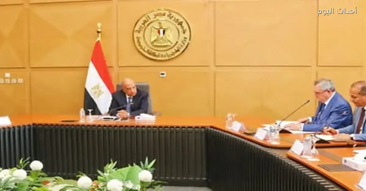 الرئيس السيسي يوجه بزيادة نسبة الطاقة المتجددة إلى 45% بحلول 2028 بدلاً من 42% في 2030