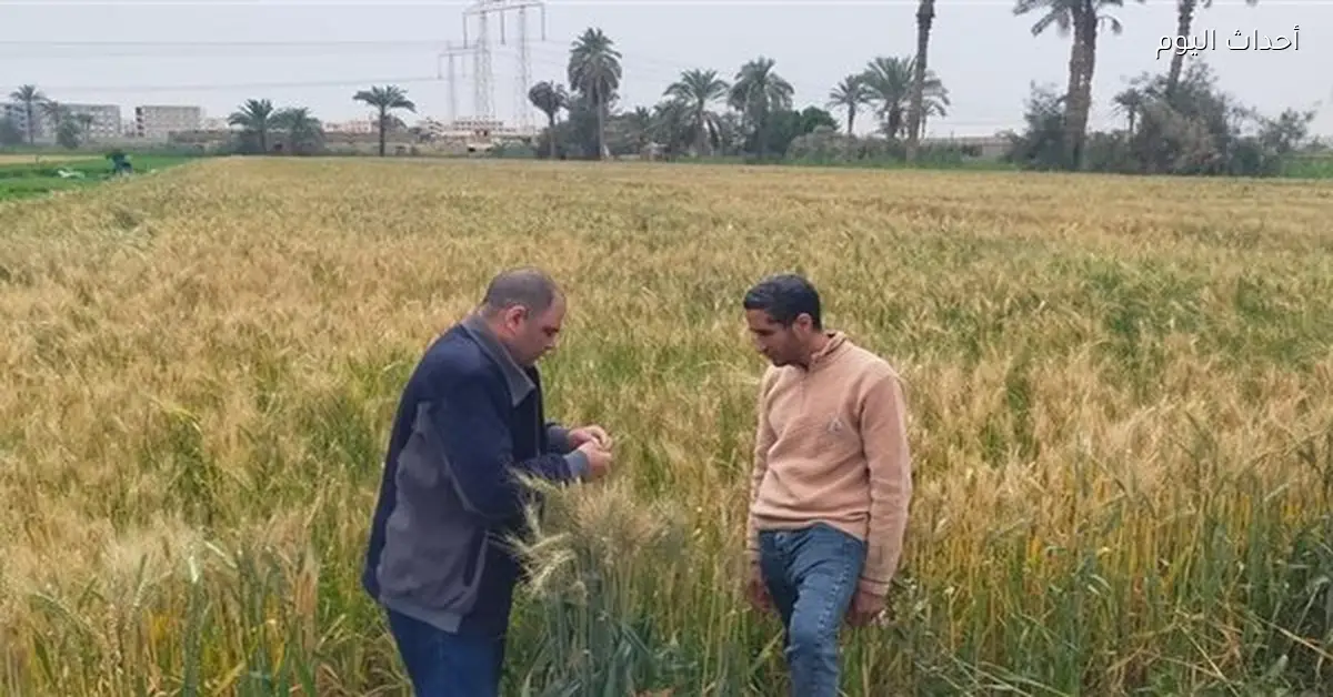 الزراعة تعزز الرقابة على صرف الأسمدة لدعم المستحقين