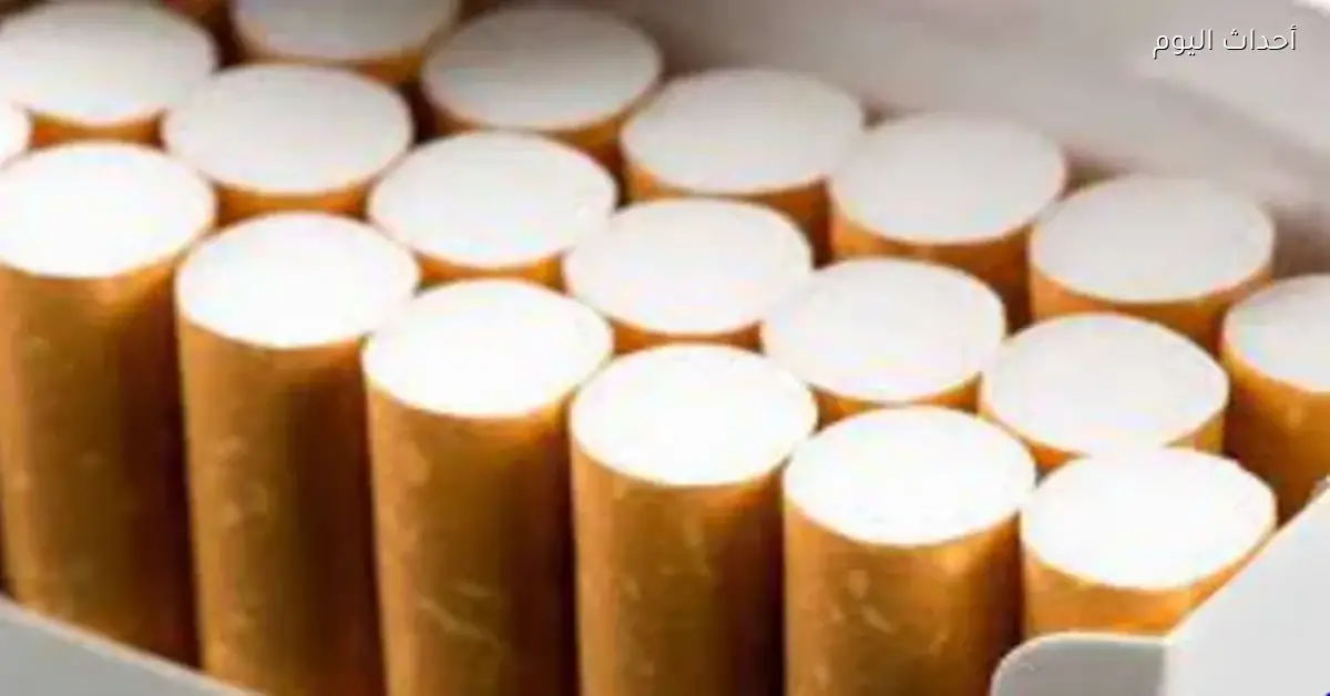 السجائر المهربة تمثل 30% من سوق السجائر في مصر والمطالبة بزيادة الرقابة تتصاعد