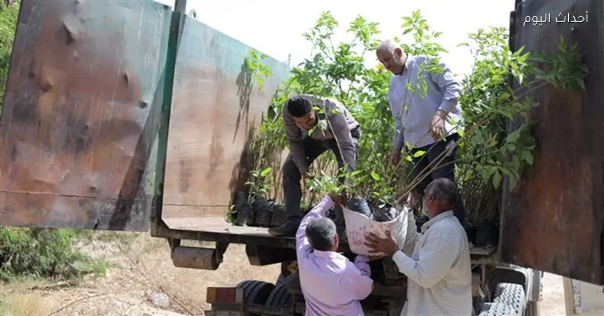 تسليم 8500 شتلة شجر مثمر للمواطنين في مبادرة 100 مليون شجرة
