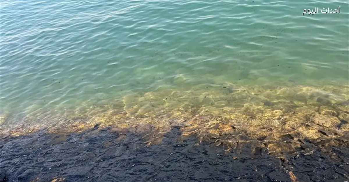 تلوث ممشى بورتوفيق بالسويس ونداء برلماني للتحقيق