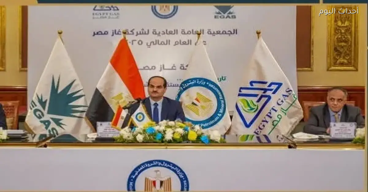 توصيل الغاز لـ230 ألف وحدة سكنية و394 منشأة تجارية