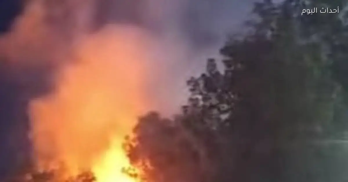 حريق في أشجار مقابر الأربعين بالسويس تحت السيطرة