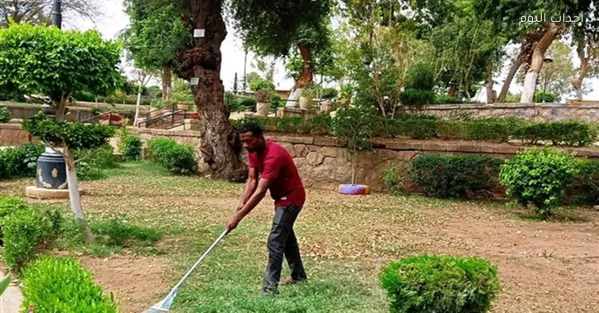 حملات نظافة في أسوان لشم النسيم