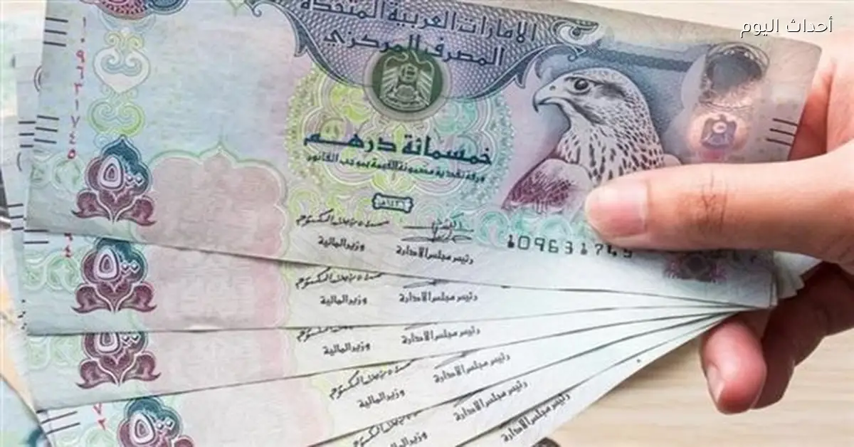 سعر الدرهم الإماراتي ثابت أمام الجنيه صباح الاثنين