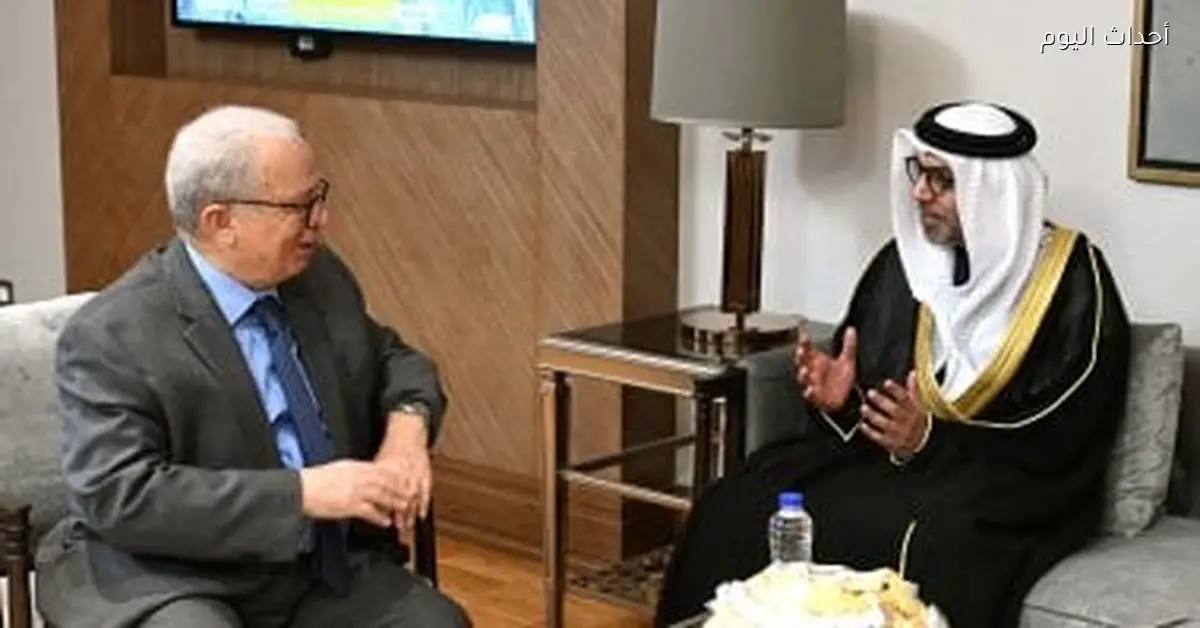 سفير الإمارات بالقاهرة: تقدم كبير في اتفاقية الشراكة الاقتصادية مع مصر