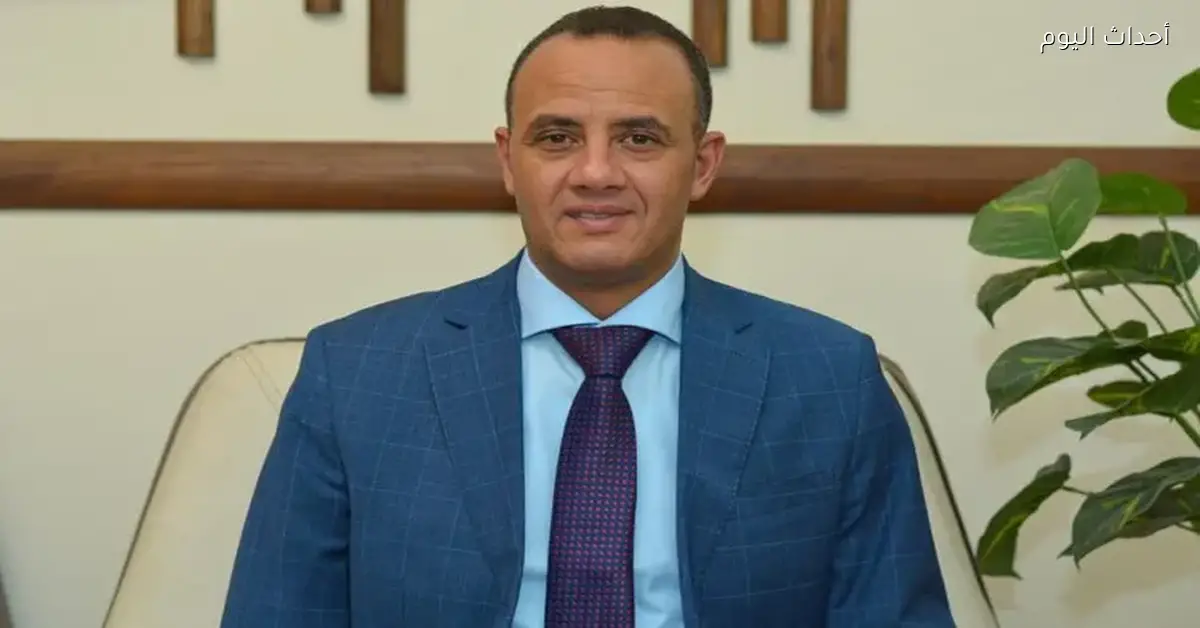 شعبة الدواجن: انخفاض الأسعار 30% وسعر الكيلو في المزرعة 73 جنيه