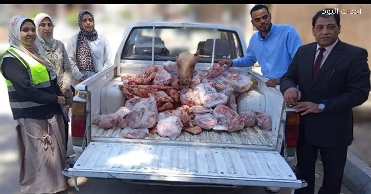 ضبط 215 كيلو لحوم ودواجن فاسدة في الأقصر