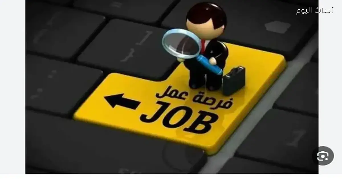 طرح 1820 وظيفة جديدة في 12 محافظة وفق النشرة الأسبوعية لوزارة العمل