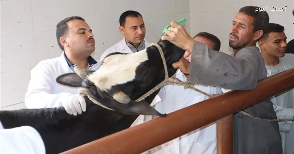 علاج 2328 حالة بيطرية في أسيوط بالتعاون مع الاتحاد الأوروبي