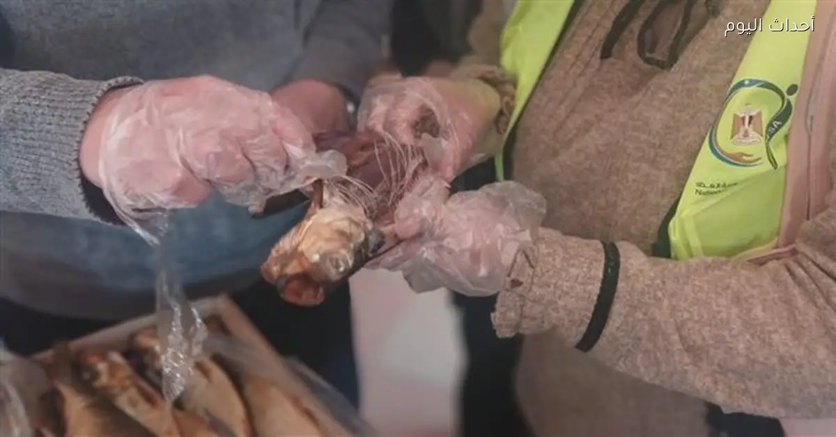 محافظ الدقهلية يتفقد لجنة تفتيش محلات الفسيخ والرنجة