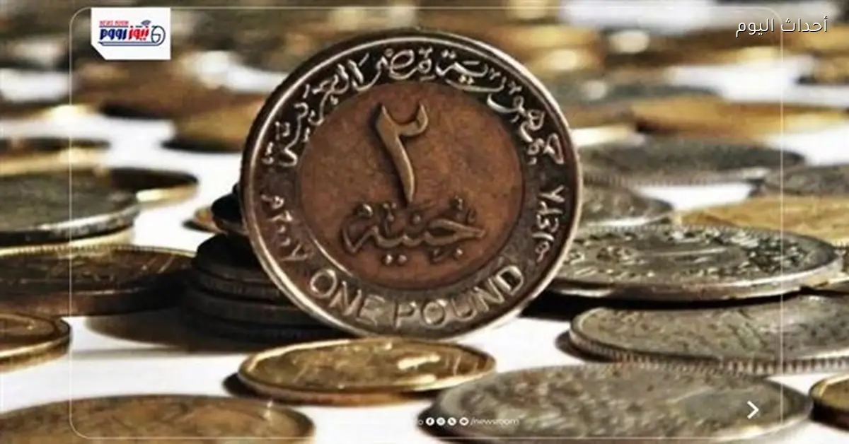 هل ستختفي العملات الورقية في مصر؟ مستشار المالية يوضح
